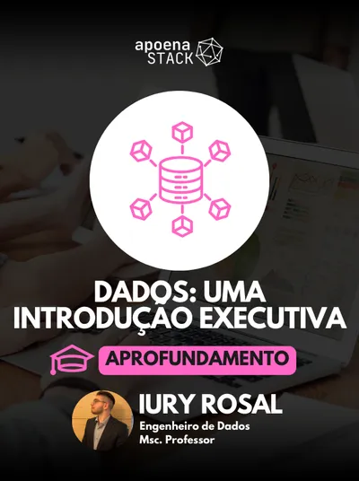 Dados: Uma Introdução Executiva